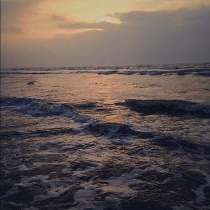 Meet your Posher, Karley